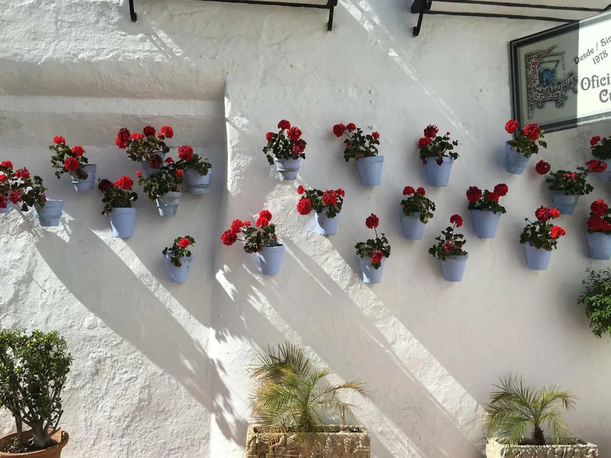 Apartamentos Riscos Torremolinos Apartment